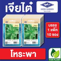 ราคา ผักซอง เจียไต๋ CT15 เมล็ดพันธุ์ พันธุ์ผัก โหระพา บรรจุแพ็คล่ะ 10 ซอง ราคา 75 บาท (16609563787)