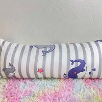 ราคา หมอนบอดี้ 18 45 ใยขนห่านเทียม รุ่นปลอกถอดซักไม่ได้ (21532326436)