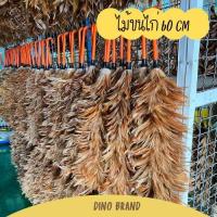ราคา ไม้ขนไก่ ไม้ปัดฝุ่น ขนไก่แหลมด้ามส้ม 60cm (21449175801)
