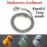 ราคา โซ่ขานกแก้ว โซ่คล้องขานก โซ่นก ห่วงขานกหัวจุก ห่วงขานกเขาไหญ่ ห่วงเปิดนก ฟอพัส หงษ์หยก เลิฟเบิร์ (24418146399)