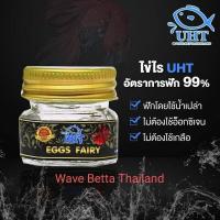 ราคา ไข่ไรนางฟ้า UHT สามารถใช้ร่วมกับ ไรแดง อาร์ทีเมีย ลูกน้ำ ไรนางฟ้า (11189243078)