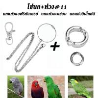 ราคา พร้อมส่ง โซ่คล้องขานก สายจูงนก โซ่นกแก้ว โซ่จูงนก โซ่สำหรับนกแก้ว ห่วงเปิดขานก ห่วงขานก ยาว 80 ซม สแตนเลส (24428171558)
