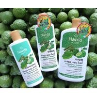 ราคา Narda shampoo นารดา แชมพู ครีมนวด มะกรูด มะรุม ใบหมี่ (6716734552)