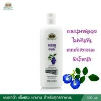 ราคา แชมพูอัญชัน อภัยภูเบศร (24550710397)