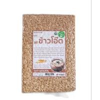 ราคา ข้าวโอ๊ต ออแกนิค 100 OAT GRAINS raw cereals Organic 100 น้ำหนัก 500g (10345607466)
