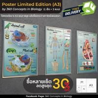 ราคา Set Poster limited Ed ขนาด A3 1 Set มี 3 แผ่น l โปสเตอร์ชีววิทยา l Animal cell Plant cell Skeletal System และ Heart Anatomy (17439298662)