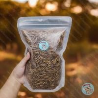ราคา หนอนนกอบแห้ง MEALWORM หนอนนก แมลง แมลงอบแห้ง อาหารแห้ง กิ้งก่า เม่นแคระ ชูการ์ กระรอก ดอร์เมาส์ แฮมสเตอร์ เบี๊ยด นก (23925856859)