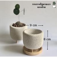 ราคา เซ็ทกระถาง ถาดรองไม้ อิฐมวลเบา กระถางพลาสติก กระถางดินเผา กระถางต้นไม้น่ารัก กระถางเทียนหอม กระถางปูนเปลือย อุปกรณ์ตกแต่งห้อง (11063866718)