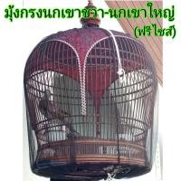 ราคา มุ้งกรงนกเขาชวาและนกเขาใหญ่ สำหรับป้องกันนกเขาถูกทำร้าย จากแมลง เหยี่ยม งู และศัตรูอื่นๆ (16513791777)