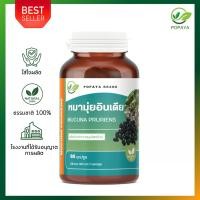 ราคา หมามุ่ยอินเดีย 60 แคปซูล กระปุก บำรุงกำลังท่านชาย (24218632569)