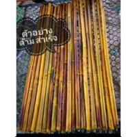 ราคา ด้ามไม้กวาด ไม้ไผ่ 10 อัน 45 บาท 30 อัน 130 บาท (23214628148)