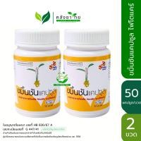 ราคา แพ็คคู่ ขมิ้นชันแคปซูล ไฟโตแคร์ Phyto care ขนาด 50 แคปซูล ขวด (24540967073)