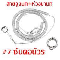 ราคา CoralCove ชุด2อย่าง สายจูงนกพร้อมห่วงนก ห่วงขานก ฟอพัส หงษ์หยก เลิฟเบิร์ด ค๊อกคาเทล กรีนชีค ตระกูลคอนัวร์ ซันคอนัวร์ นกเอี้ยง ของเล่นนกแก้ว (21446214826)