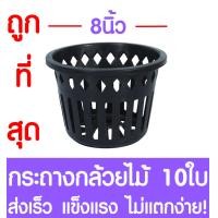 ราคา กระถางกล้วยไม้ กระถางต้นไม้ ขนาด 8 นิ้ว 10ใบ กระถางพลาสติก กล้วยไม้ กระถางกลม กระถางต้นไม้พลาสติก กระถางปลูกต้นไม้ กระถางดำ Flower pot (2069638078)