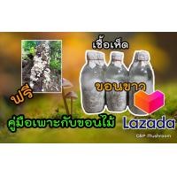 ราคา เชื้อเห็ดขอนขาว ขอนดำ พร้อมคู่มือเพาะเห็ดกับขอนไม้ (15422433915)