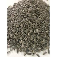 ราคา เมล็ดต้นอ่อนทานตะวัน 1 กก เมล็ดทานตะวันลายไทย ลายใหญ่ นำเข้า เมล็ดทานตะวันเพาะงอก อัตราการงอกสูง (17985866345)