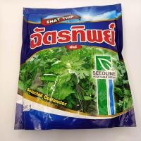 ราคา เมล็ดผักชี ฉัตรทิพย์ ตราซีดไลน์ ขนาด300กรัมและ500กรัม ปลูกง่าย งอกดี โตไว อร่อย (19631665182)