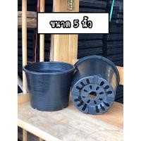 ราคา กระถางต้นไม้ 5นิ้ว 50ใบ กระถางดำ กระถางกลม กระถางพลาสติก (18805749297)