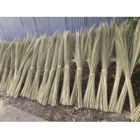 ราคา ดอกแขม ดอกหญ้าทำไม้กวาด ของใหม่ปี 2568 (21405564514)