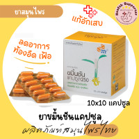 ราคา ขมิ้นชันแคปซูล 100 แคปซูล 10 x 10 แคปซูล ยี่ห้อไฟโตแคร์ (21330226623)