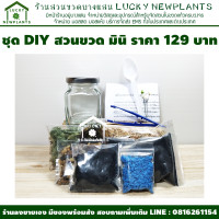 ราคา ชุดสวนขวดแก้ว DIY มินิ 129 บาท วัสดุอุปกรณ์ครบพร้อมจัด (1216424548)