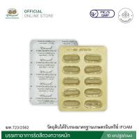ราคา ยาแคปซูลผสมเพชรสังฆาต ตราอภัยภูเบศร ขนาดบรรจุ 10 แคปซูล แผง 10 แผง (21486662370)
