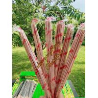 ราคา ธูปกันยุง กันแมลง สมุนไพรธรรมชาติ สีขาวและสีดำตรามังกรยากันยุง 9 ห่อ 100 บาท1 ห่อ มี 30 ก้านไล่ยุง ปลอดภัยต่อสุขภาพ (16132407845)