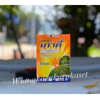 ราคา เกาดี้ Goadi 100กรัม g (9908231990)