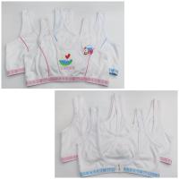 ราคา เสื้อซับในครึ่งตัวเด็กผู้หญิงแบบสวม และ ตะขอหลัง ผ้าcotton ยกแพ็คมี 3 ตัว สินค้าพร้อมส่งจ้า (21480358084)