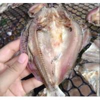 ราคา ปลาแห้ง 20 ตัว 50 บาท ปลาขาวเขื่อน ปลาแดดเดียว ปลาตากแห้ง กับแกล้ม อาหาร (19649448818)