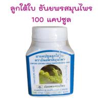 ราคา ธันยพร ลูกใต้ใบ 100 แคปซูล ช่วยบุรุงธาตุ บำรุุงและส่งเสริมการทำงานของตับ ขนาด 100 แคปซูล ลูกใต้ใบ ธันยพรสมุนไพร สามัญประจำบ้าน (17729844898)