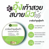ราคา ครีมบาล์มบำรุงอุ้งเท้า ข้อศอก บาล์มบำรุงสำหรับสัตว์เลี้ยง ทาบริเวณที่แห้งกร้านให้ผิวนุ่ม สุนัขและแมว 60 กรัม หมอไทยทำเอง (24590091118)