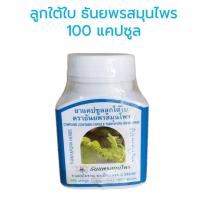 ราคา ธันยพร ลูกใต้ใบ 100 แคปซูล ช่วยบุรุงธาตุ บำรุุงและส่งเสริมการทำงานของตับ ขนาด 100 แคปซูล ลูกใต้ใบ ธันยพรสมุนไพร (17837771742)