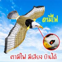 ราคา นกเหยี่ยวไล่นก เหยี่ยว ไล่นก หุ่นไล่นก หุ่นแขวนป้องกันนก ไล่นกกินแปลงผัก ที่ไล่นก นกพิราบ อุปกรณ์ไล่นก อุปกรณ์ป้องกันนก (9498063783)