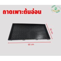 ราคา ถาดเพาะต้นอ่อน ถาดเพาะต้นกล้าแบบมีรู ไม่มีรู ถาดเพาะต้นอ่อนทานตะวัน ถาดเพาะกล้า แพ๊ค 3 ใบ (12216669046)