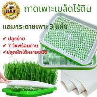 ราคา พร้อมส่ง ถาดเพาะต้นอ่อน ไร้ดิน Seed Sprouter Tray Germination Tray Hydroponics Basket ไม่ต้องใช้ดิน เพาะต้นอ่อนทานตะวัน ต้นอ่อนข้าวสาลี ผักบุ้ง โตวเหมี่ยว (9879545728)