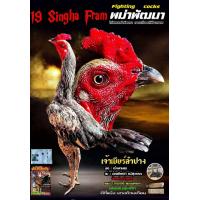 ราคา ไข่เชื้อไก่ชน ลูกชายมหานคร รับประกันเชื้อส่งด่วน (24545573114)