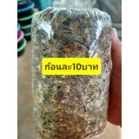 ราคา เชื้อเห็ดฟา ก้อนละ 10 บาท บรรจุ 12 ก้อน (19960537258)