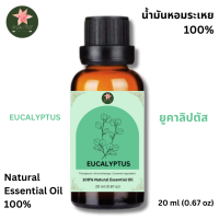 ราคา Eucalyptus Essential Oil น้ำมันยูคาลิปตัสหอมระเหยแท้ 100 ขนาด 20 ml (24091359484)