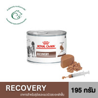 ราคา Recovery can อาหารฟื้นฟูสัตว์ป่วย กระป๋อง 195g (22706839695)
