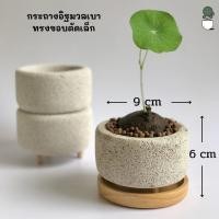 ราคา เซ็ทกระถาง ถาดรองไม้ อิฐมวลเบา กระถางพลาสติก กระถางดินเผา กระถางต้นไม้น่ารัก กระถางเทียนหอม กระถางปูนเปลือย อุปกรณ์ตกแต่งห้อง (16015770695)