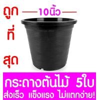 ราคา กระถางต้นไม้ กระถางพลาสติก ขนาด 10 นิ้ว 5ใบ กระถางกลม กระถางต้นไม้พลาสติก กระถางปลูกต้นไม้ กระถางดำ กระถางพลาสติกดำ Flower pot (2069578115)