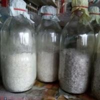 ราคา เชื้อเห็ดนางฟ้าภูฐาน 6ขวด (2953012617)