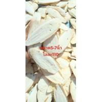 ราคา กระดองปลาหมึกราคาถูก (19499102051)