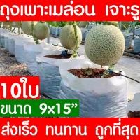 ราคา ถุงปลูกเมล่อน 10ใบ ขนาด 9x15 เจาะรู มะเขือเทศ ถุงเพาะเมล่อน ถุงเพาะสีขาว ถุงเพาะชำ เนื้อหนาสุด เหนียวสุด ไม่ขาดง่าย เนื้อHD (18014046175)