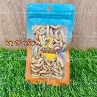 ราคา หนอนแว๊กซ์ฟรีซดราย หนอนแว๊กซ์อบแห้ง ขนาด 10 กรัม สำหรับสัตว์เลี้ยง ชูการ์ เม่นแคระ ลิง กระรอก แฮมสเตอร์ บุชเบบี้ (24349353529)
