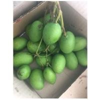 ราคา มะม่วงเบาใต้แท้ สด อ่อน เปรี้ยว ราคาไม่แพง (17027371268)