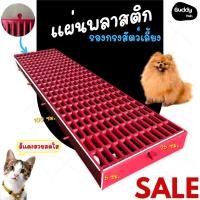 ราคา แผ่นรองกรงสัตว์เลี้ยง รุ่นหนาพิเศษ แผ่นแสลทพลาสติก แผ่นปูพื้น ขนาด 25x100 หนา 5 เซนติเมตร กรงหมา แผ่นกันลื่น แผ่นรองกรง แผ่นปูพื้น สัตว์เลี้ยง กรงสัตว์ (22353348052)