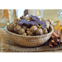 ราคา หัวกระชายดำสด หัวใหญ่จัมโบ้ ขุดใหม่จากสวน 500 1000กรัม สมุนไพรไทย (20279916314)