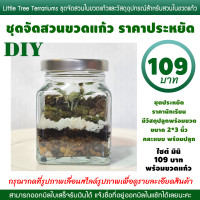 ราคา DIY สวนขวด ชุดจัดสวนขวดแก้ว ไซต์ Mini 109 มีของพร้อมส่ง (1216442307)